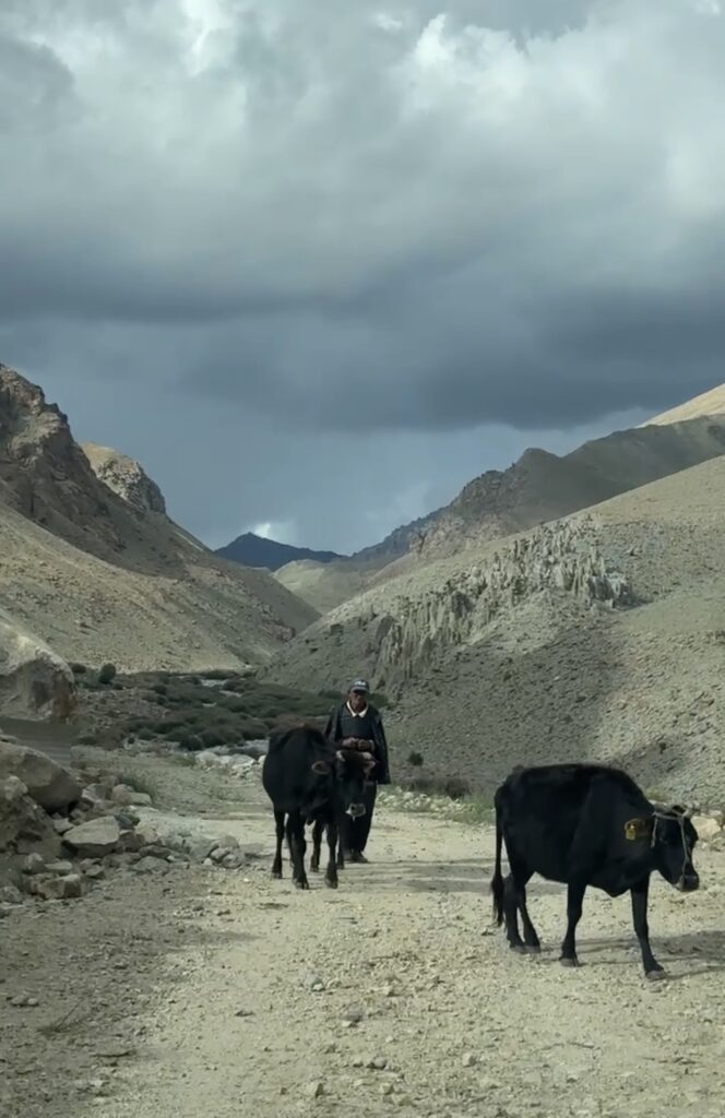 Enroute the special place in Saspochey