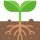 plant_12309575 plant_12309575